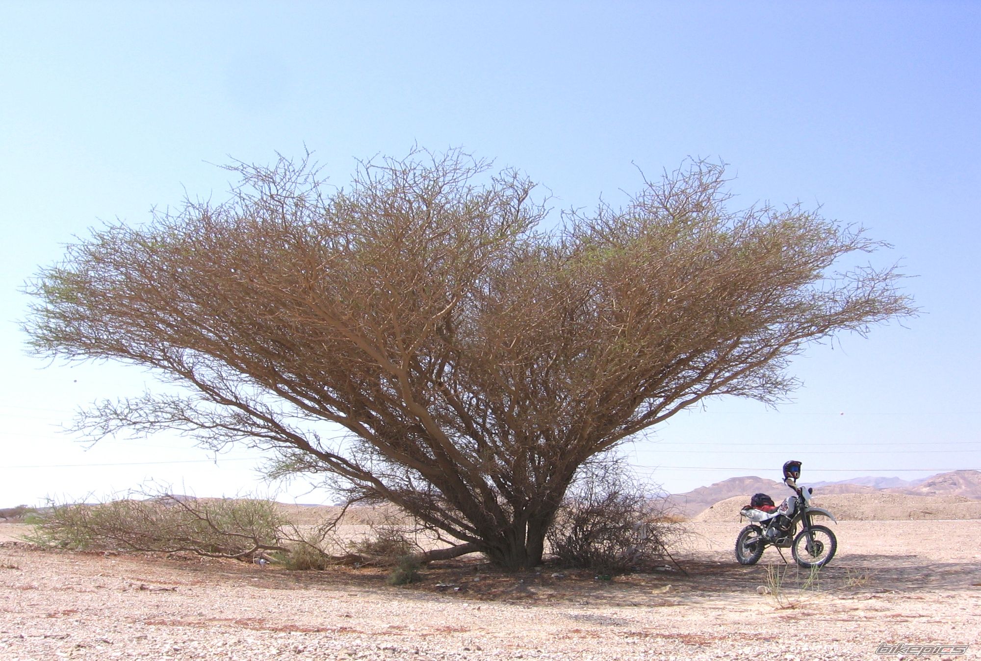Bike Photo 1114162