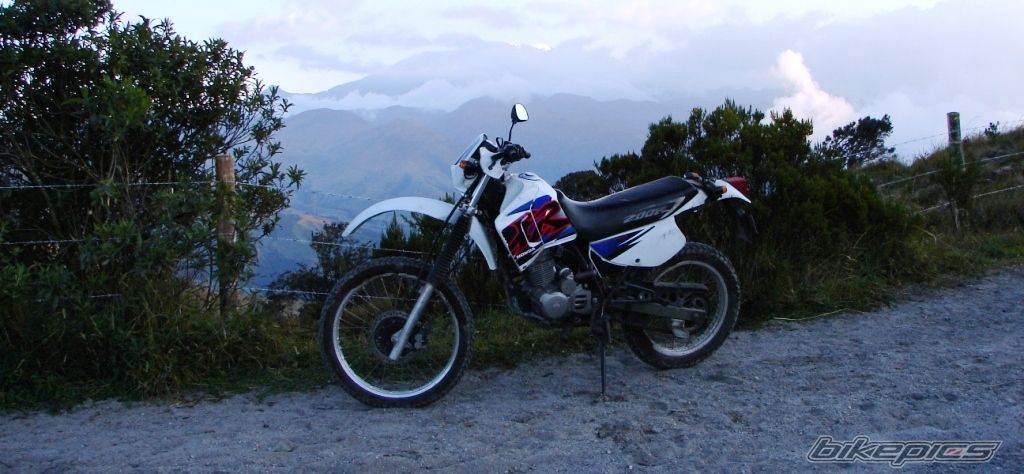 Photo 1114239