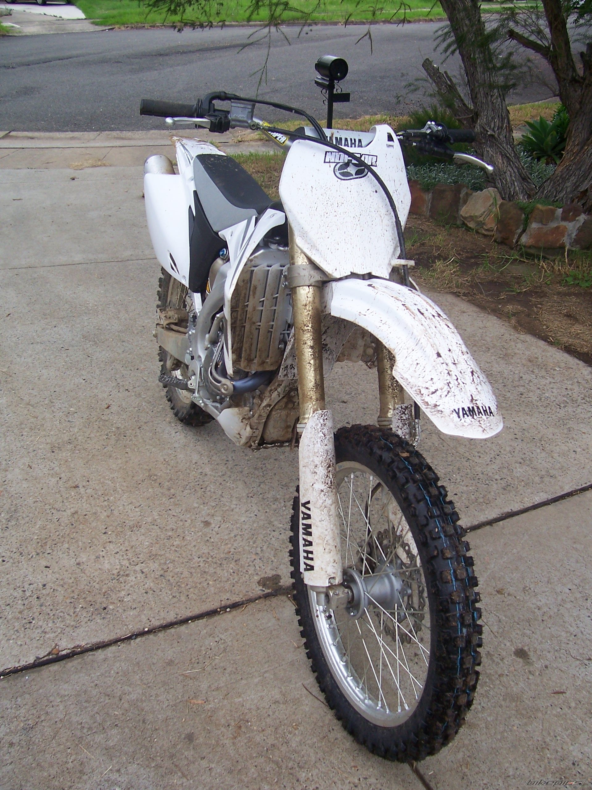 Photo 1114352