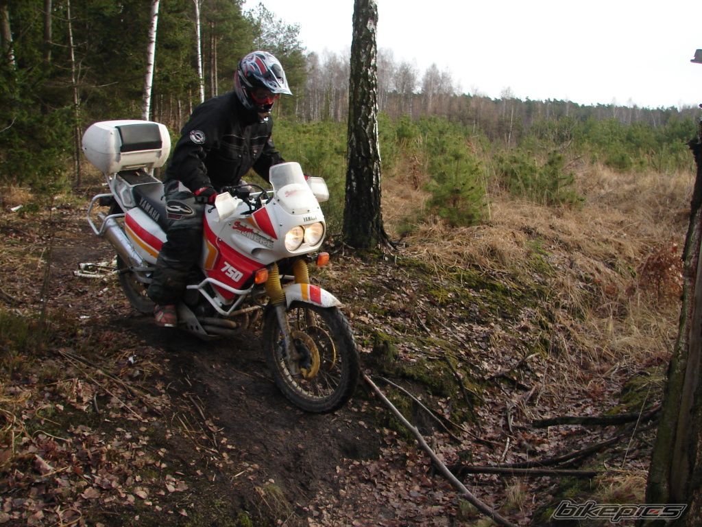 Photo 1114444