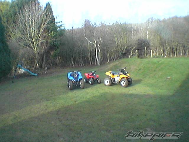 Photo 111481