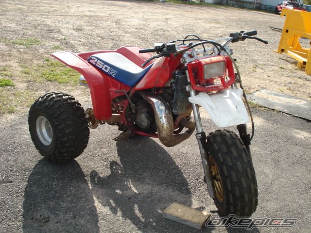 Photo 1114966