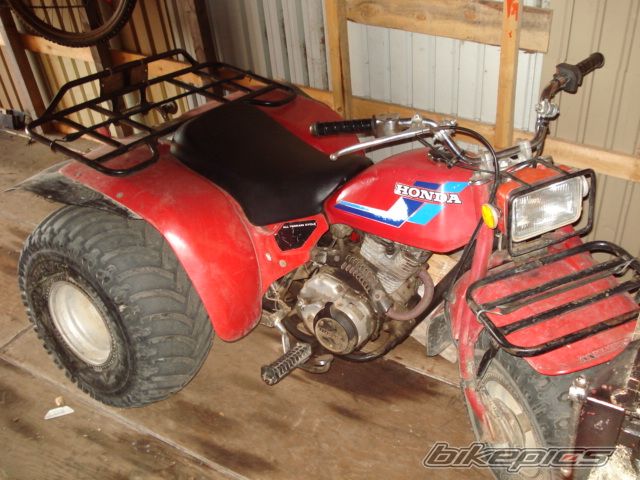 Photo 1114968