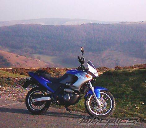 Photo 111497