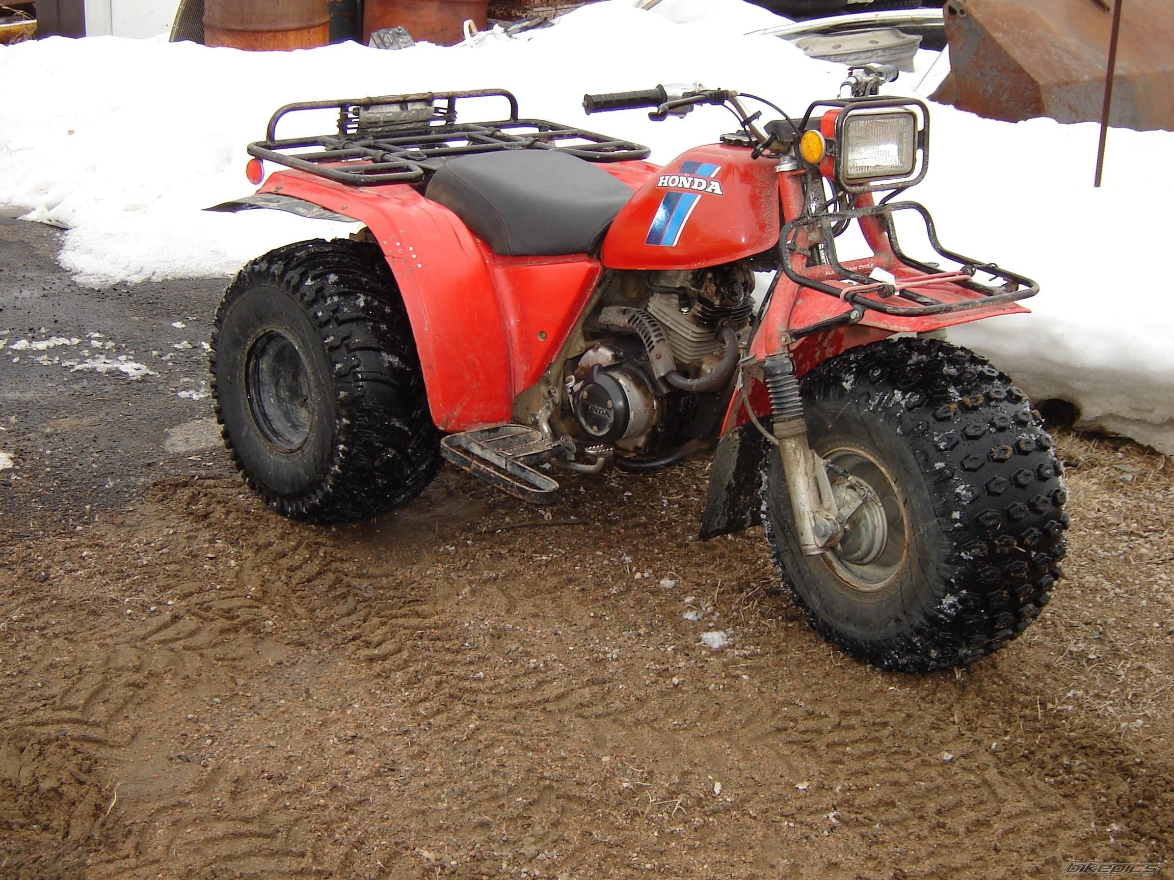 Photo 1114970