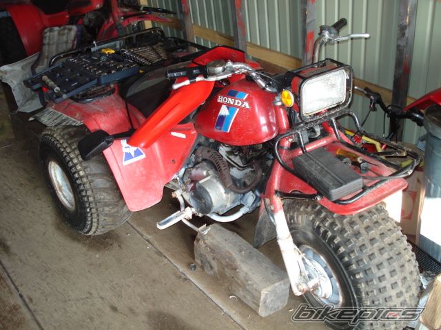 Photo 1114974