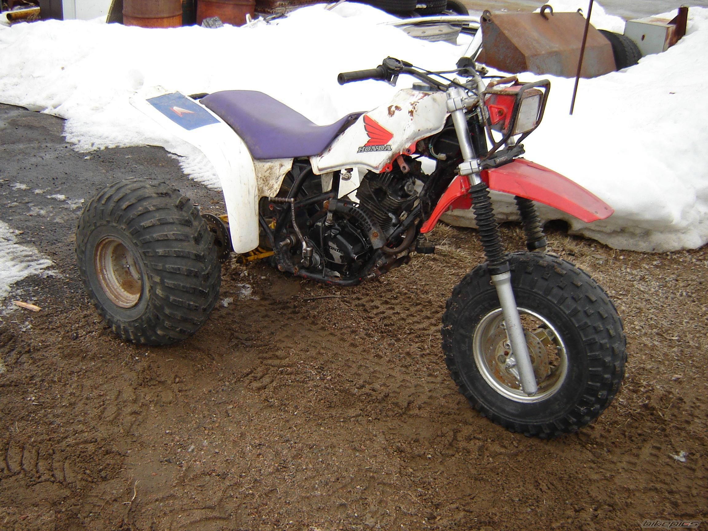 Photo 1114977