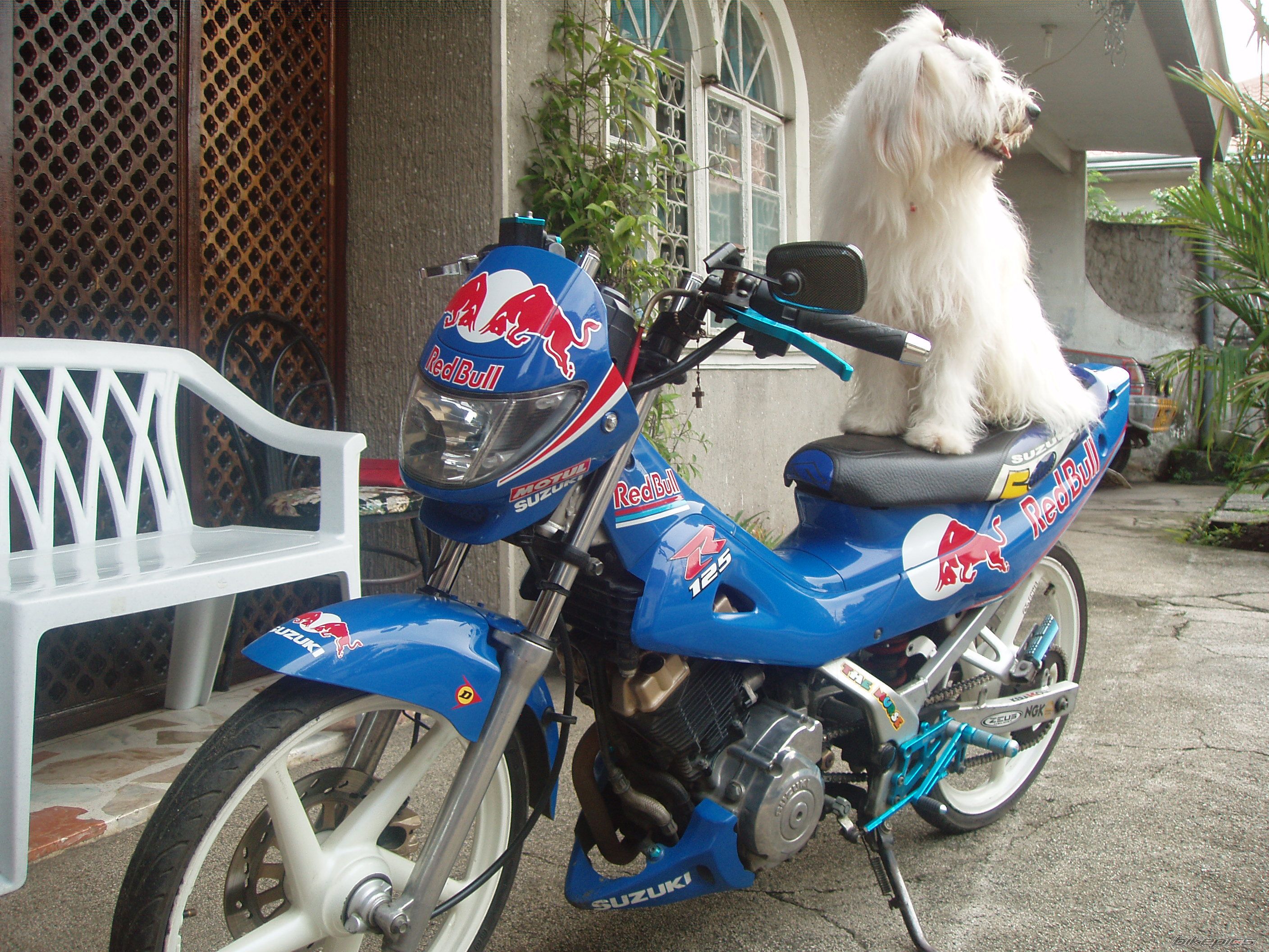 Bike Photo 1115039
