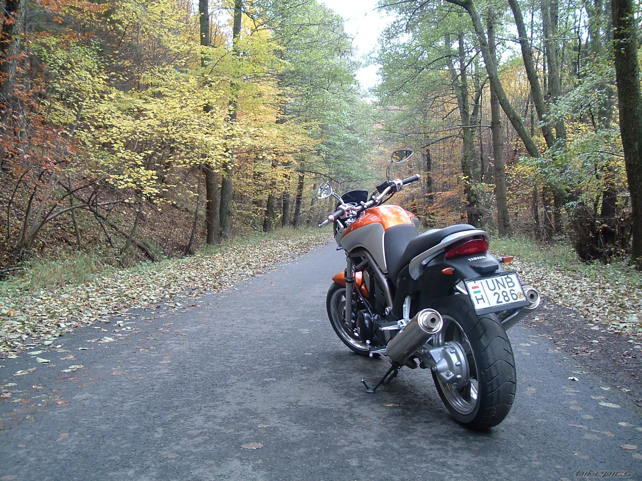 Photo 1115050