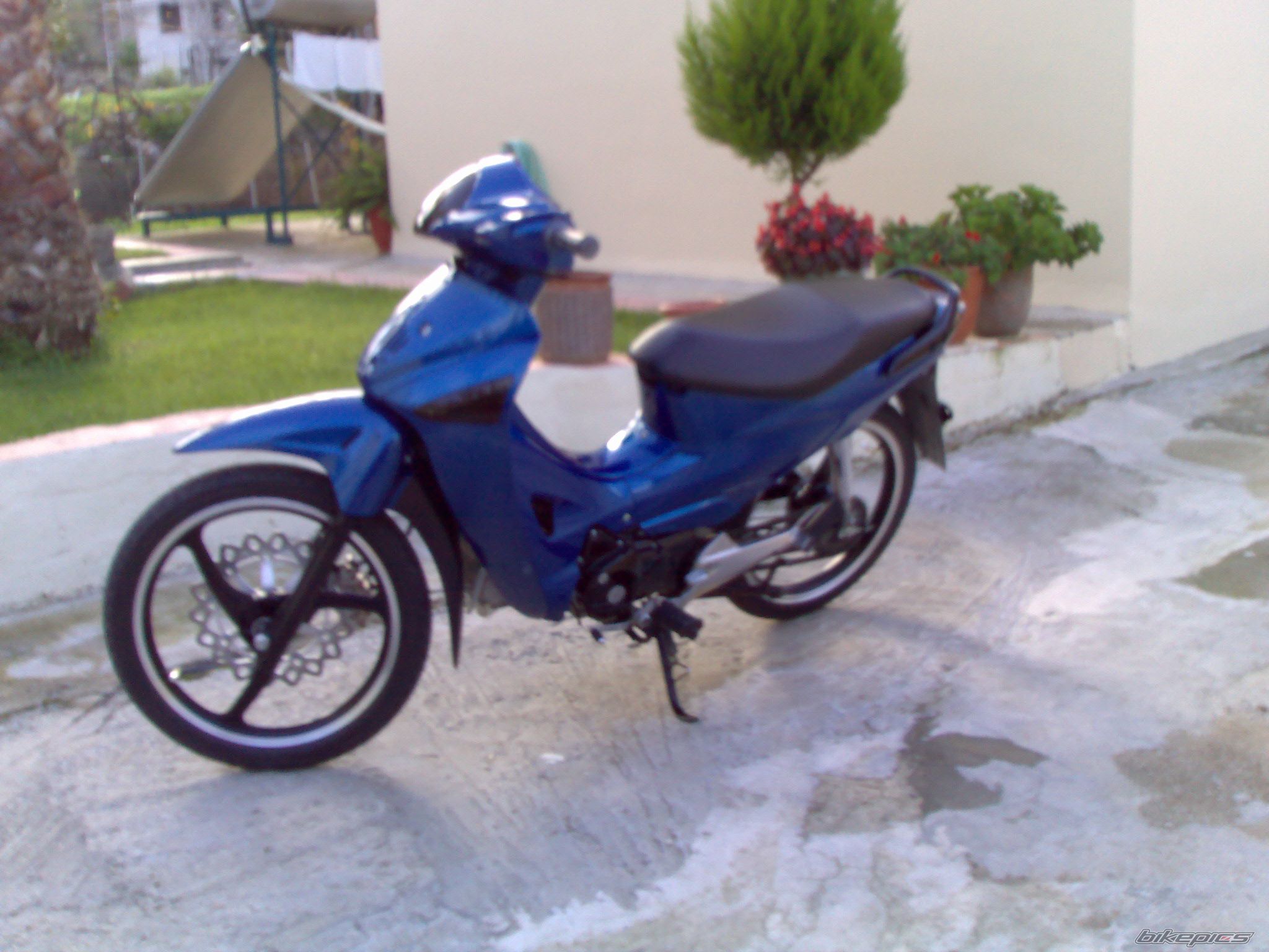 Photo 1115103