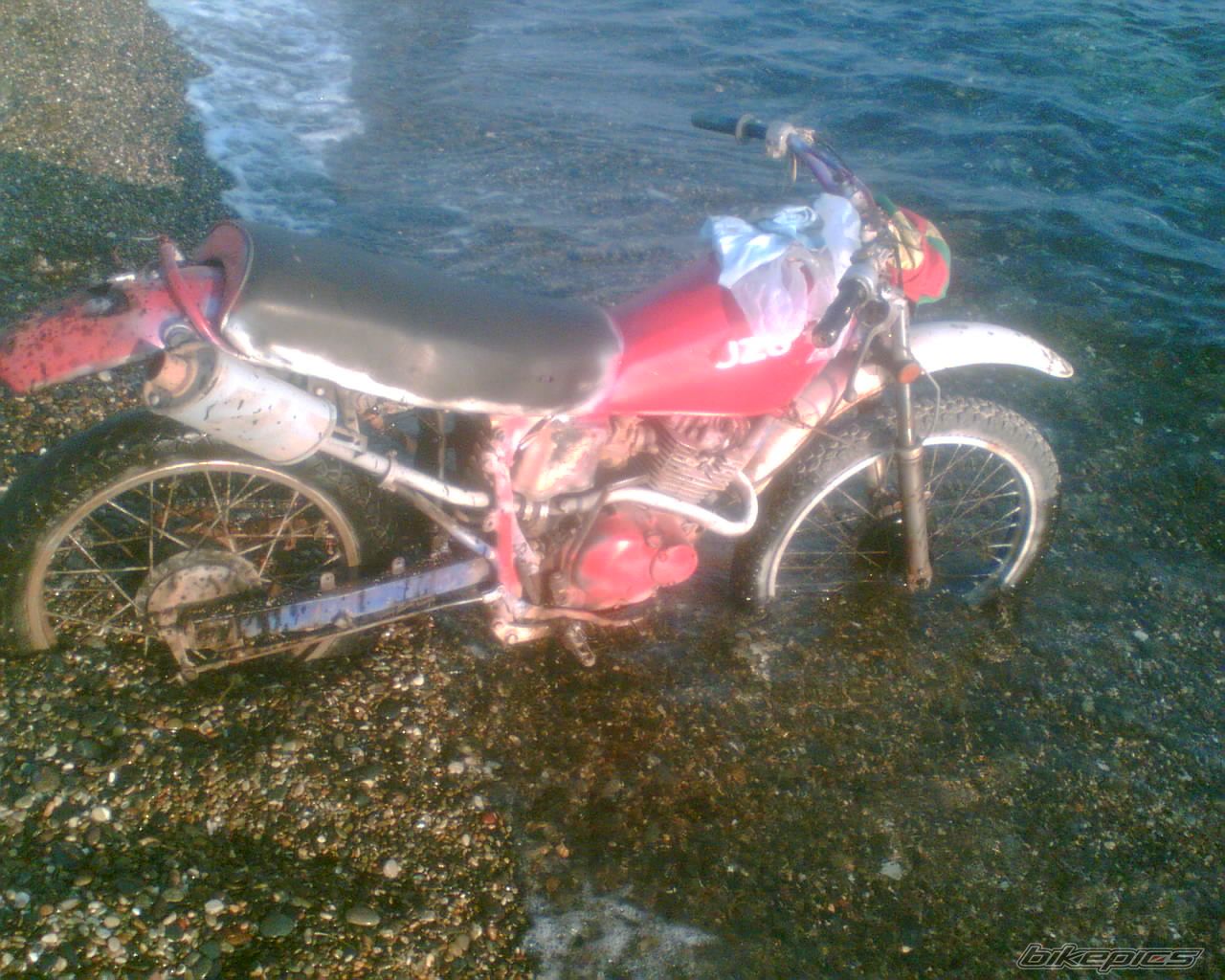 Photo 1115193
