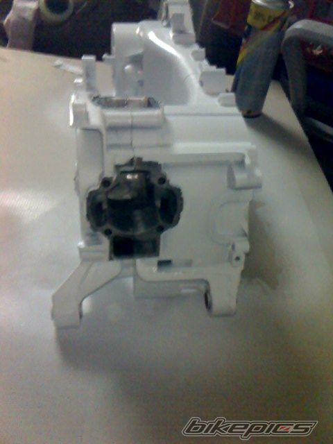 Photo 1115229
