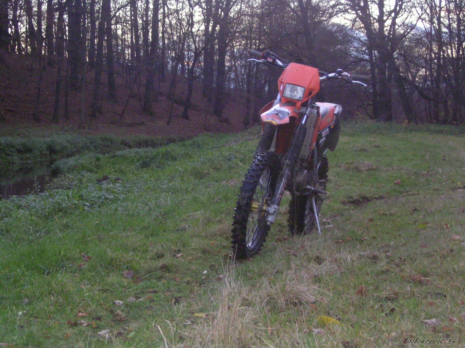 Photo 1115288