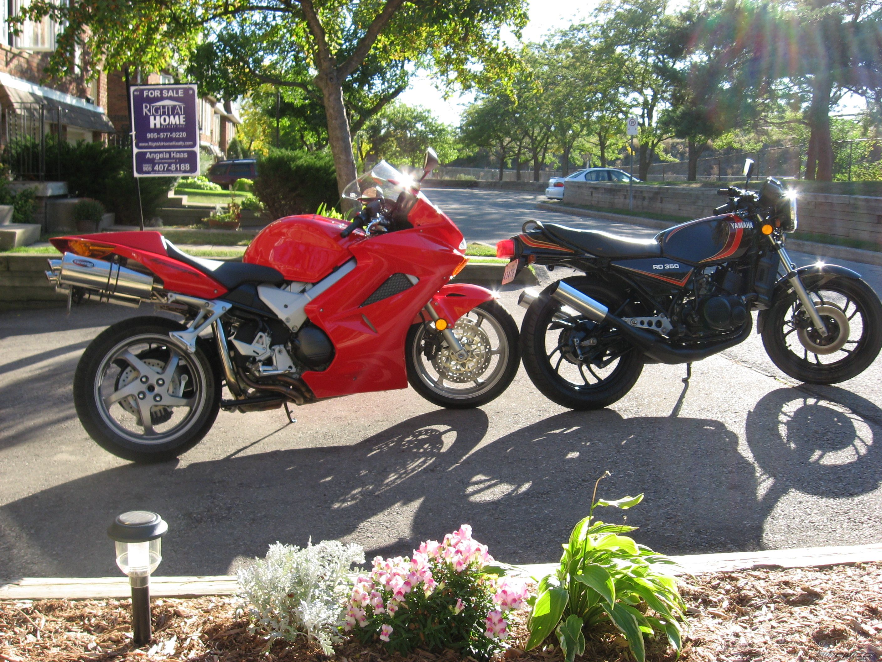 Photo 1115292