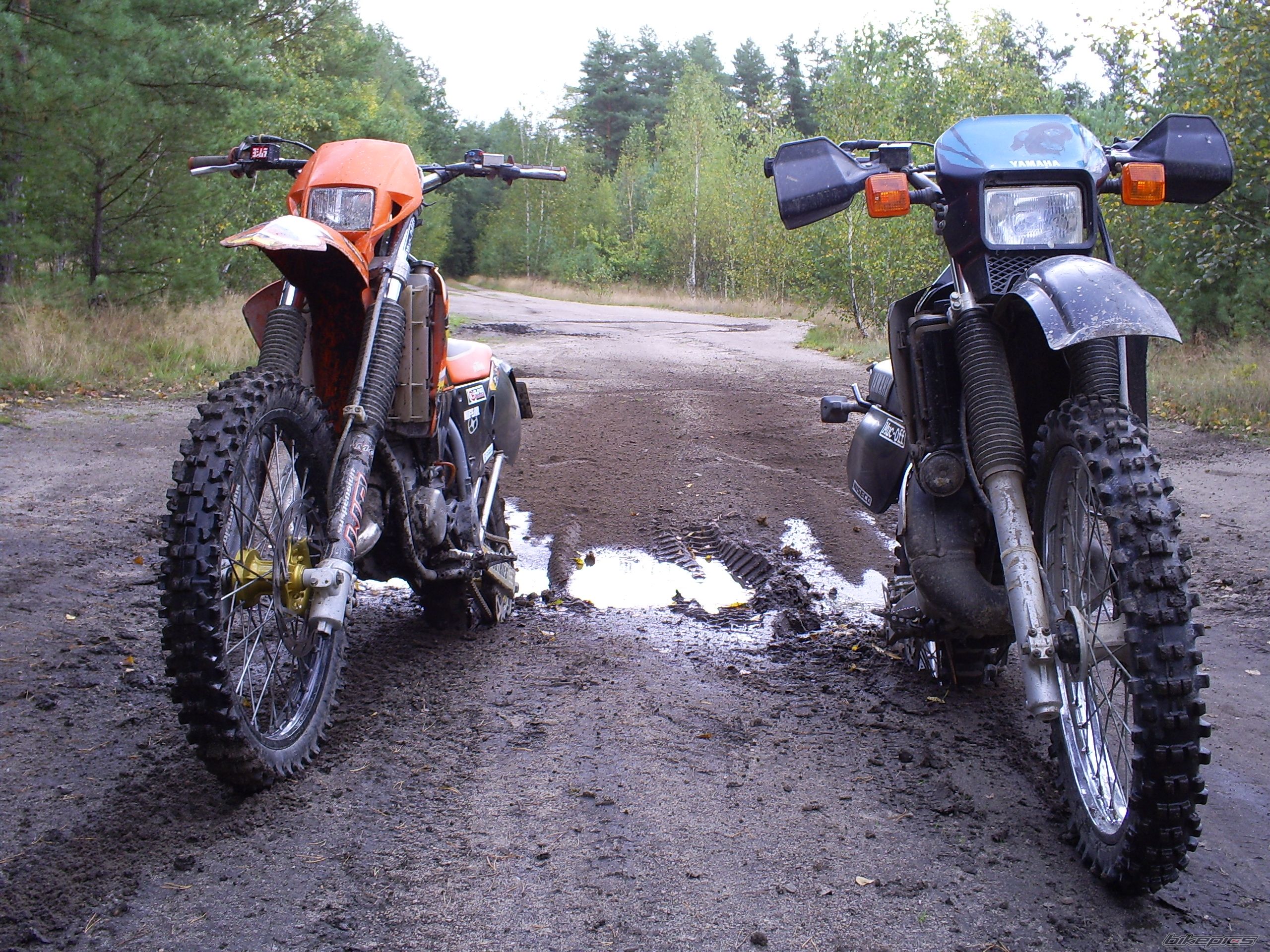 Photo 1115293