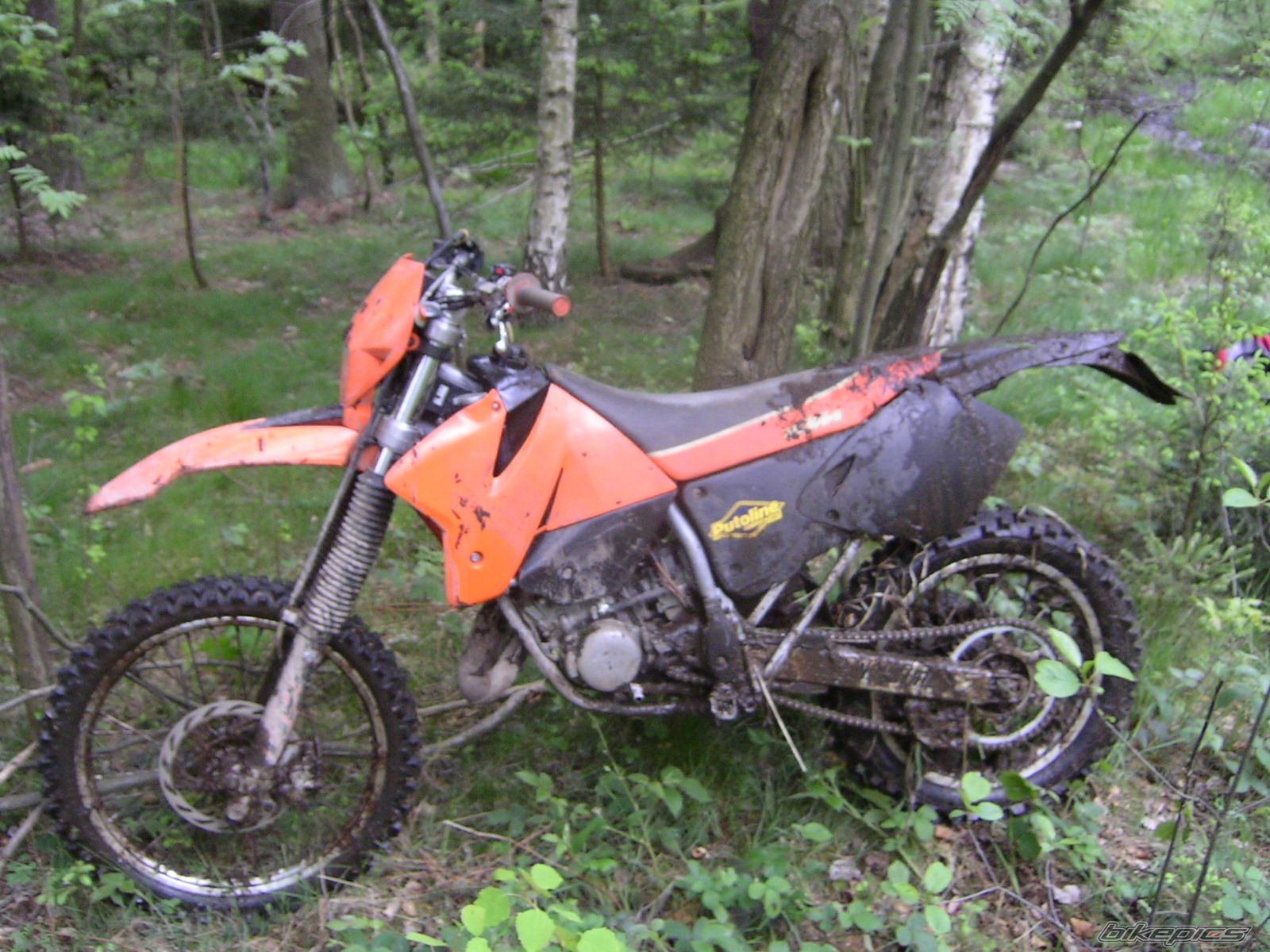 Photo 1115302