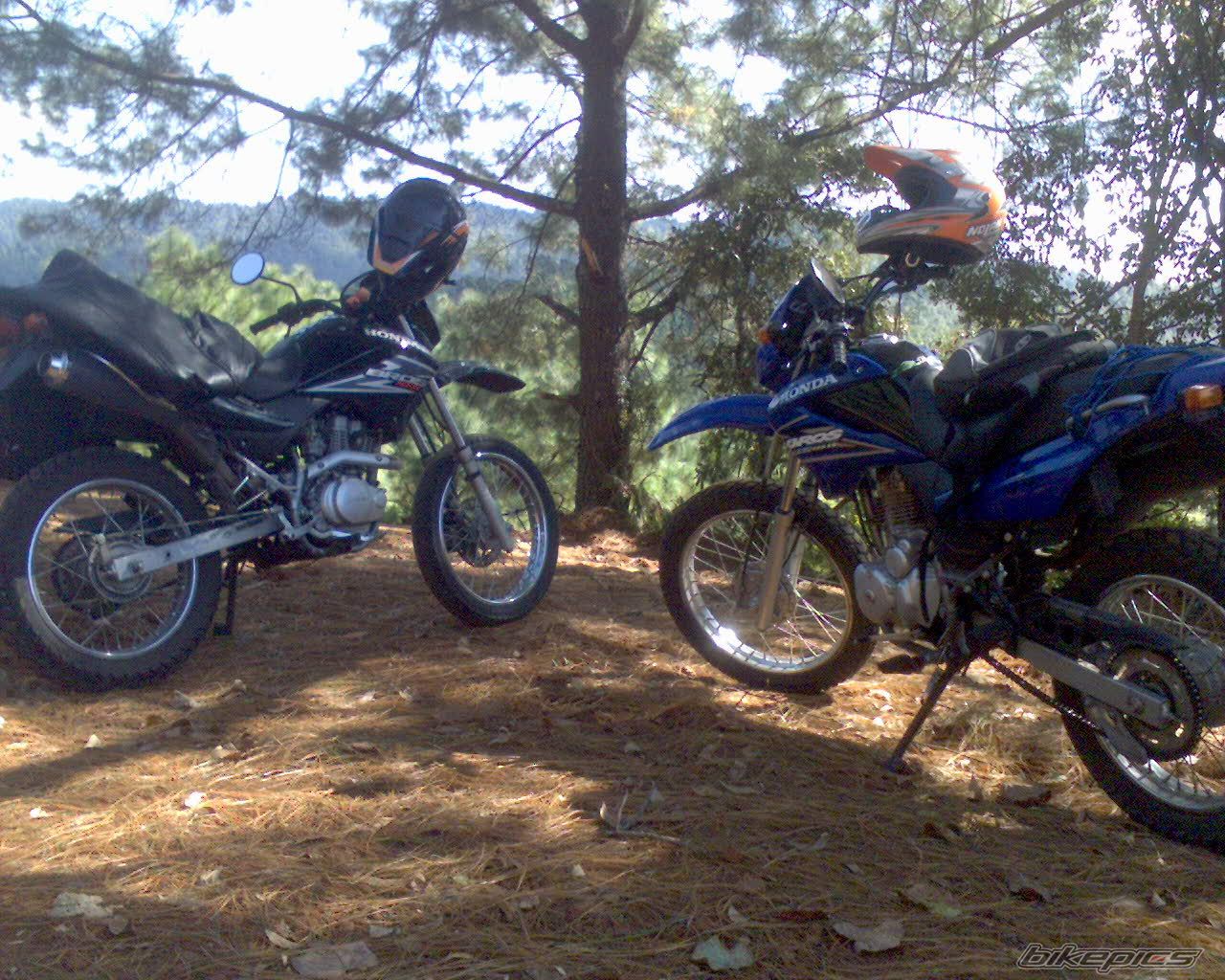 Photo 1115307