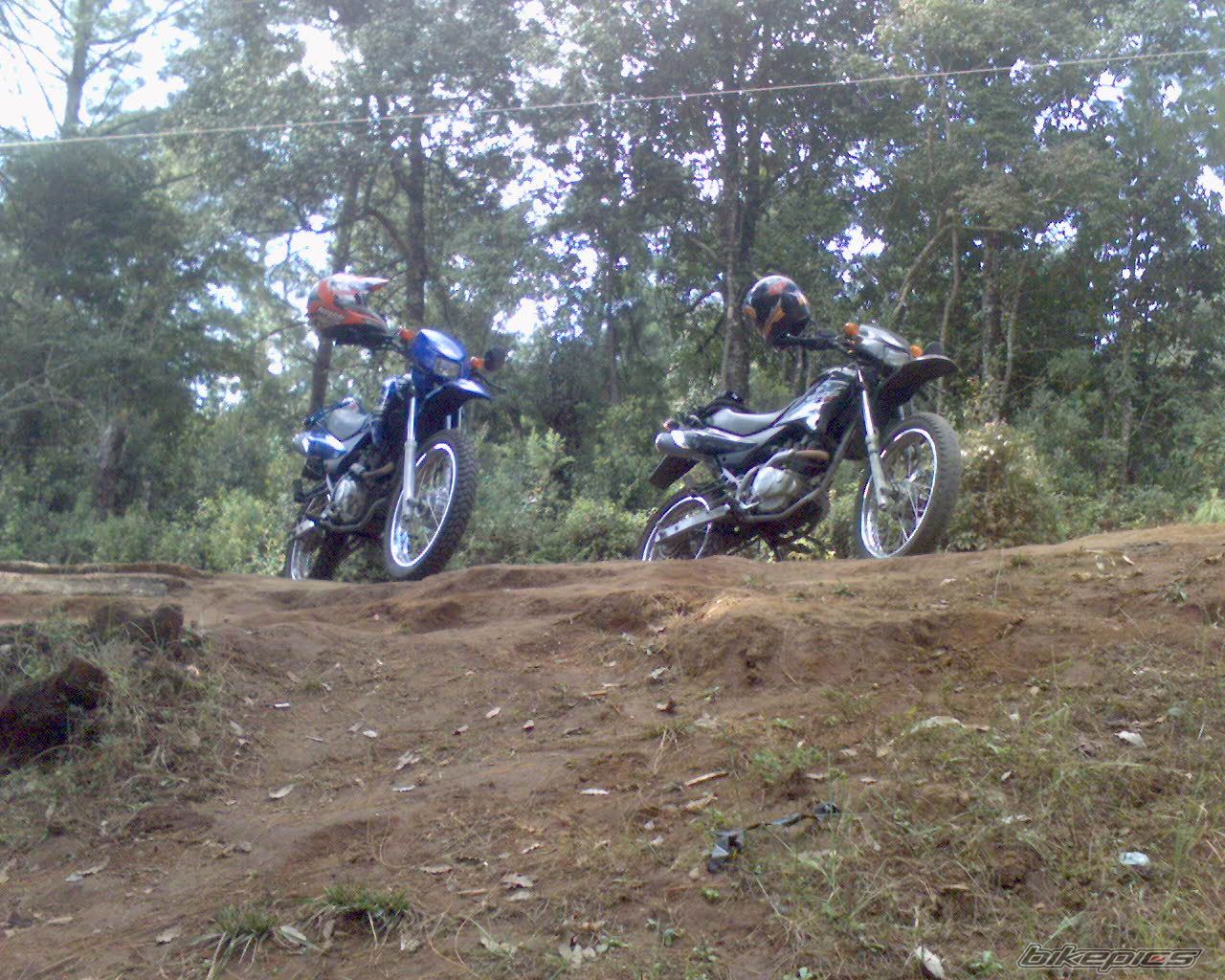Photo 1115315