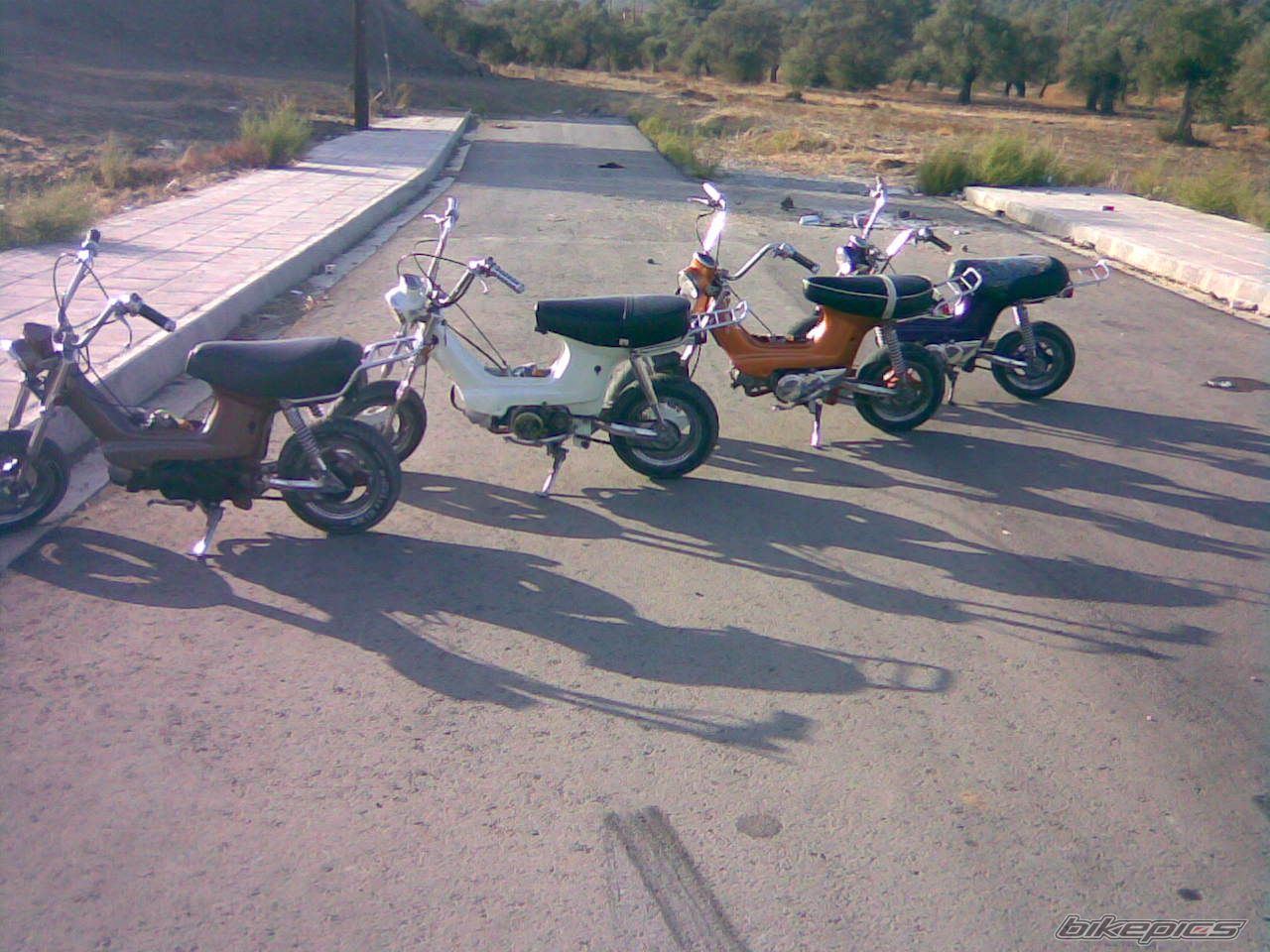 Photo 1115329