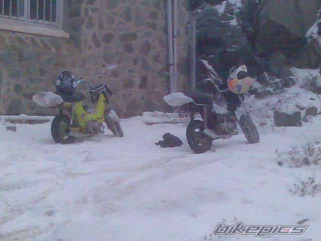 Photo 1115360