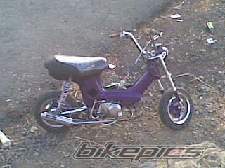 Photo 1115371
