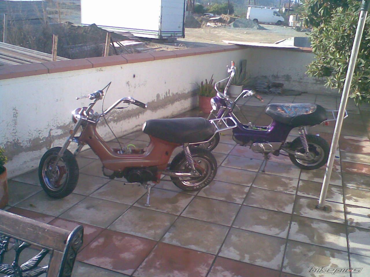 Photo 1115382