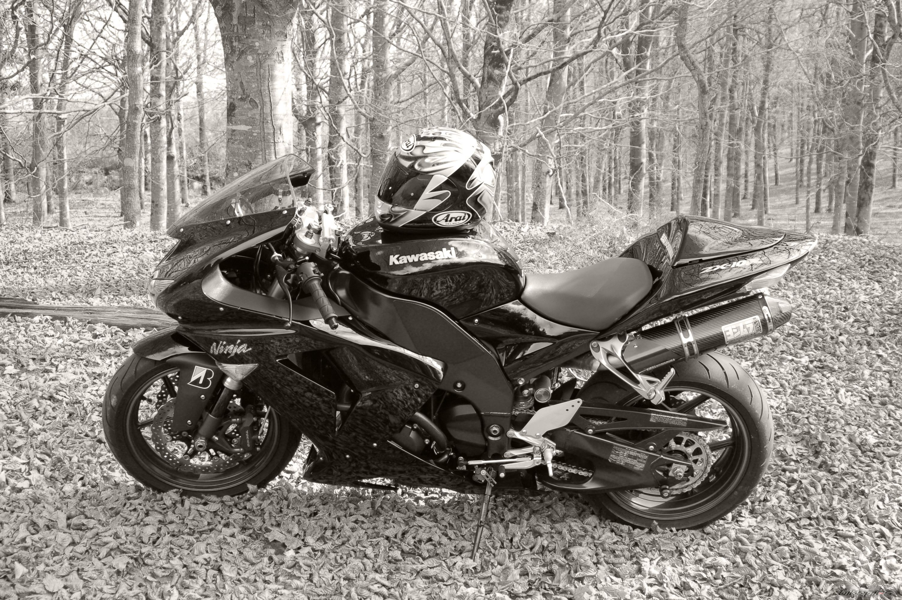 Photo 1115447