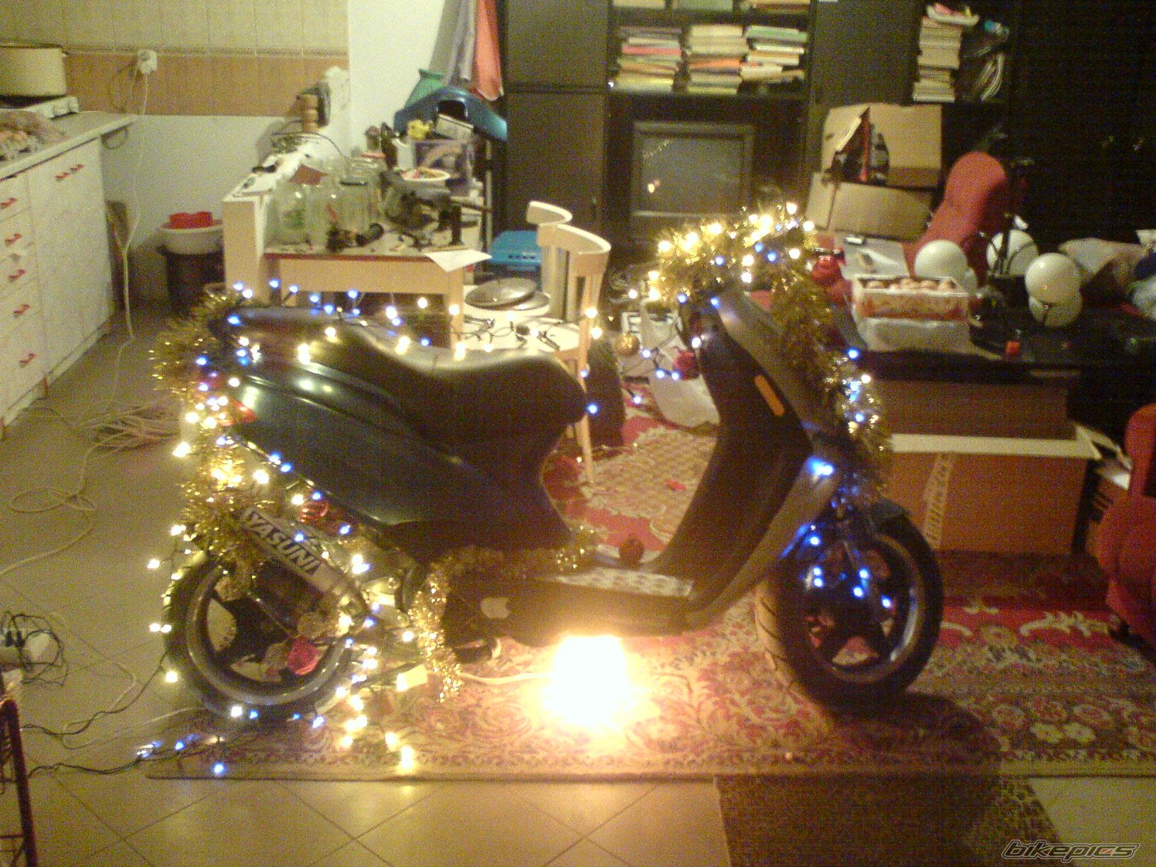 Photo 1115449