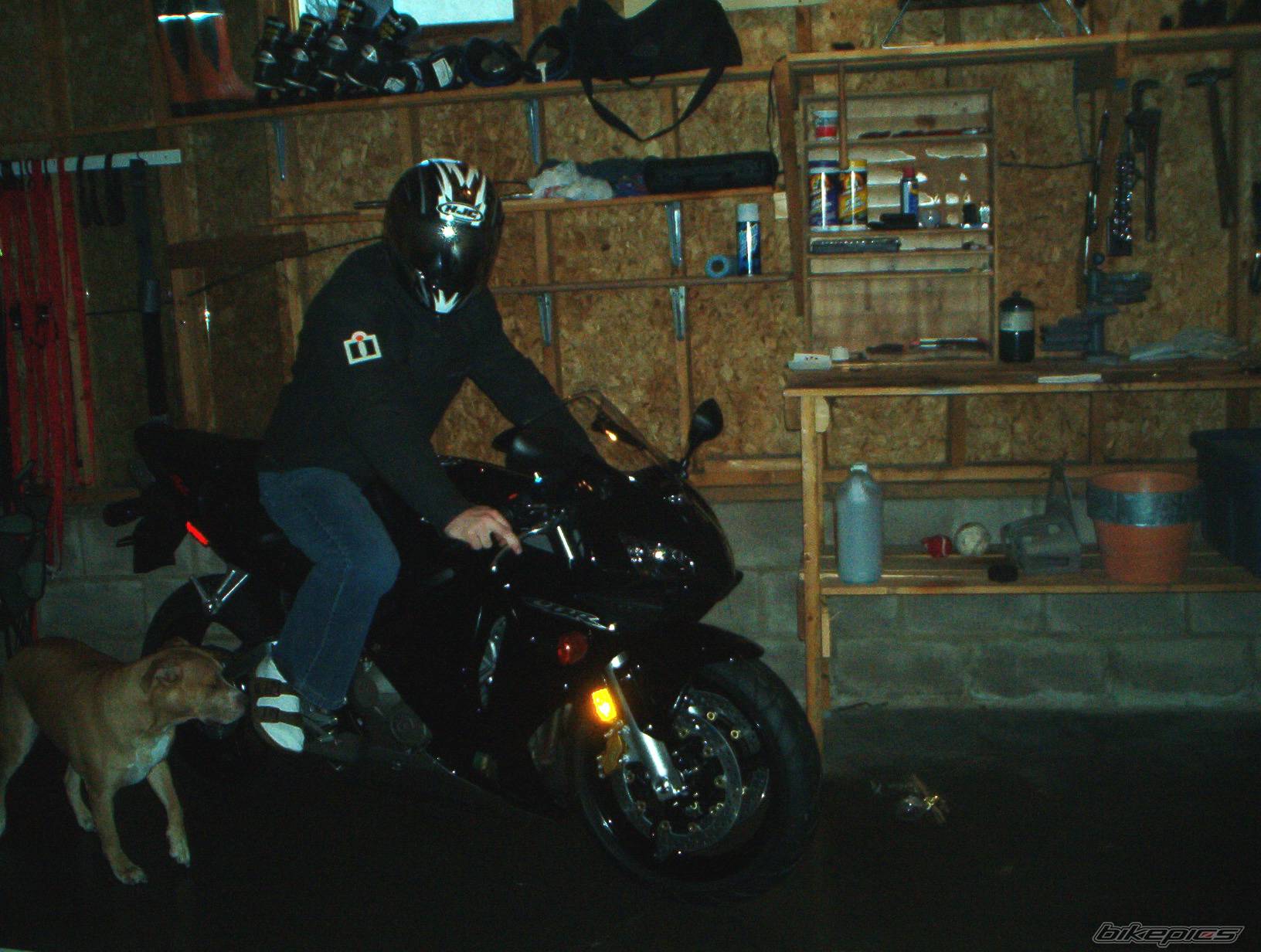 Photo 111547