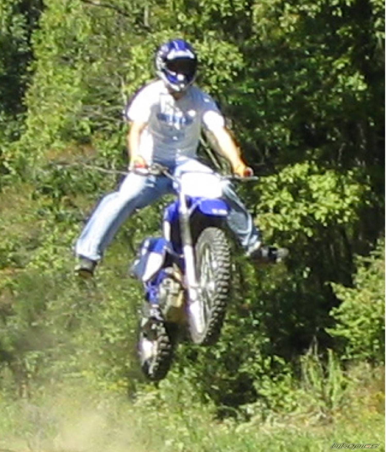 Photo 111555