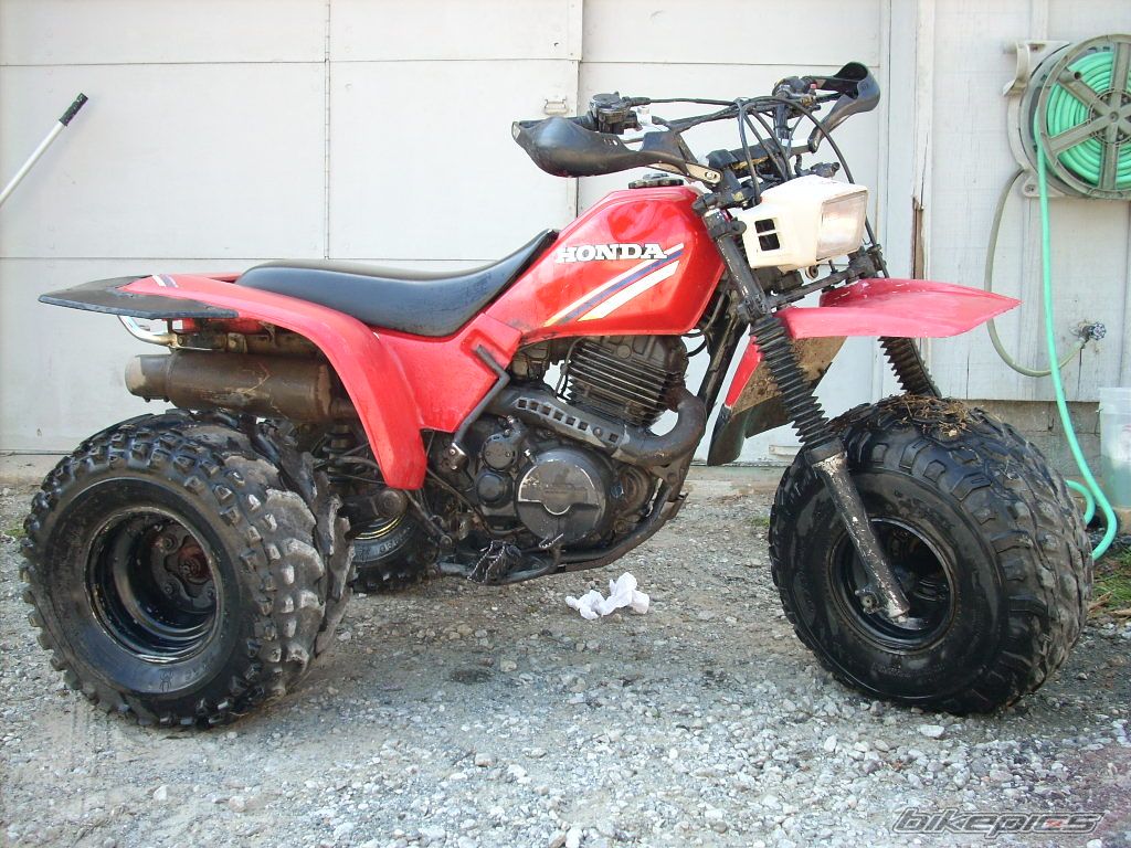 Photo 1115562