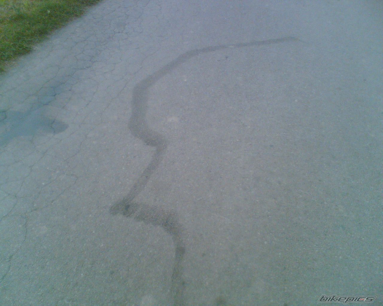 Photo 1115586