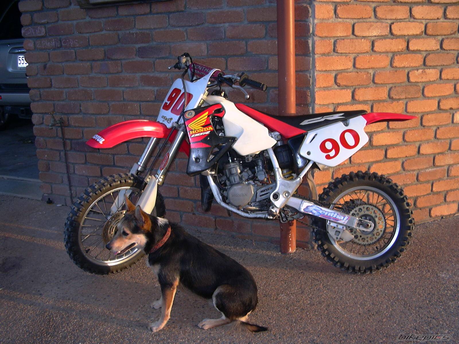 Bike Photo 111574