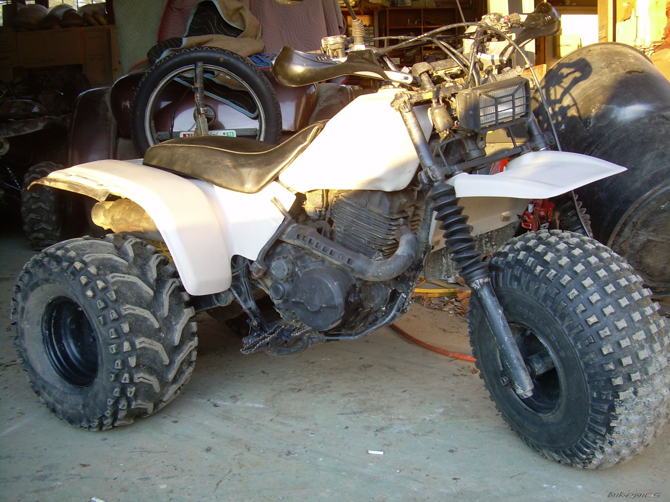 Photo 1115745