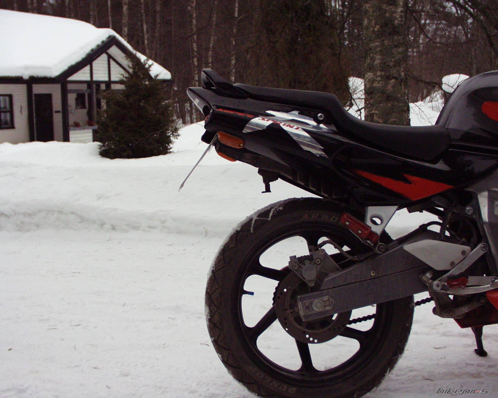 Photo 111576