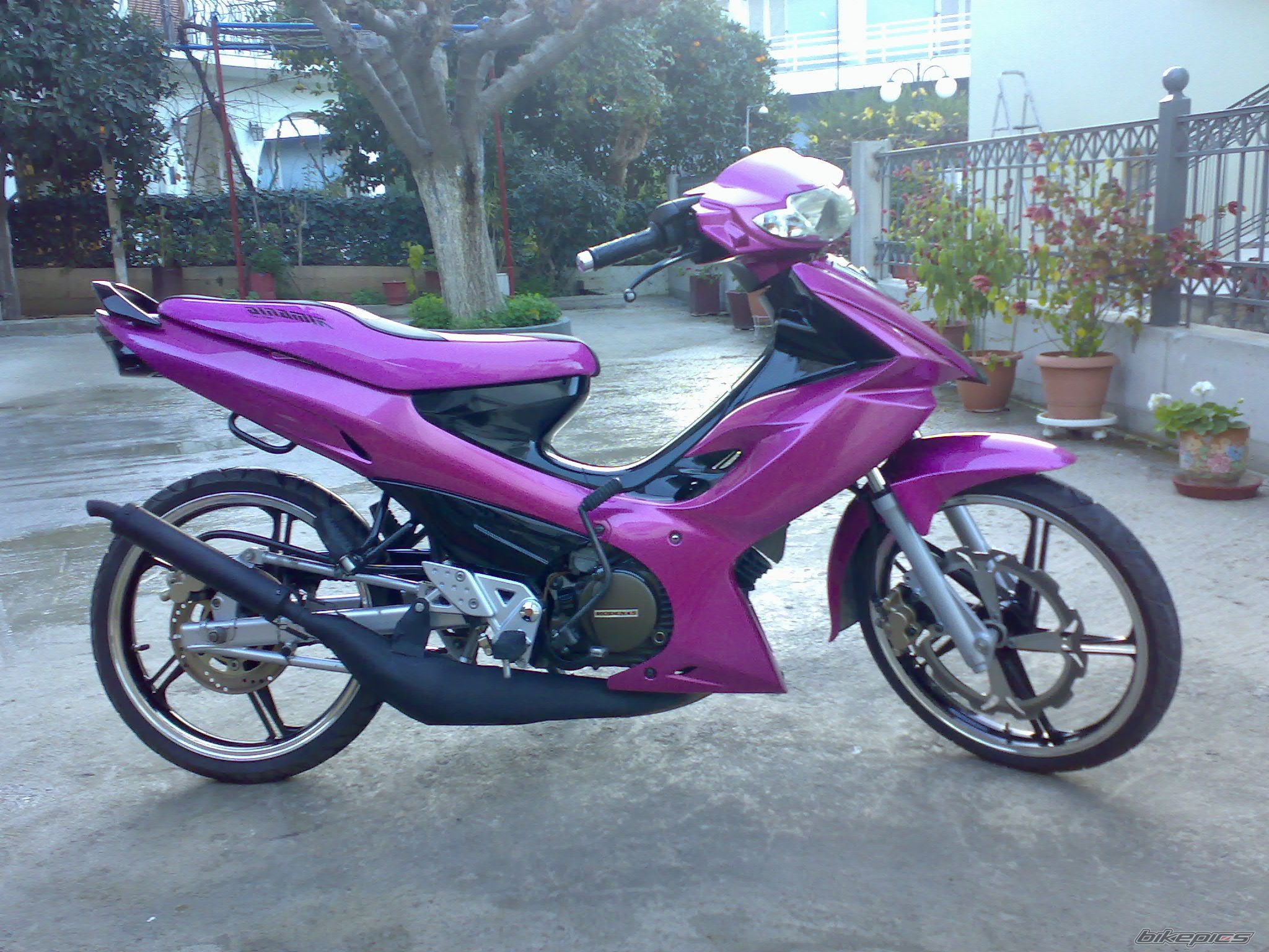 Photo 1115795