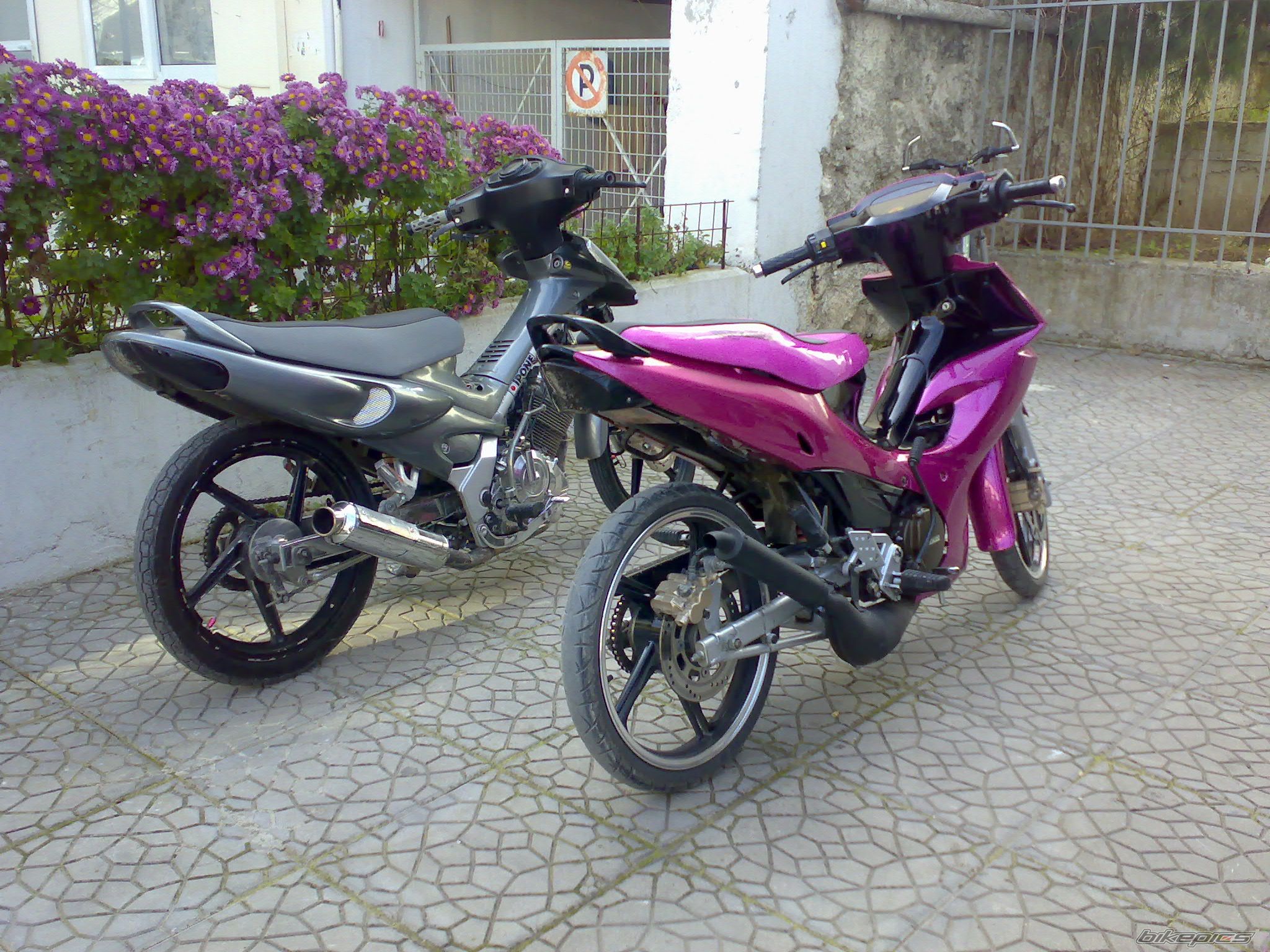Photo 1115801