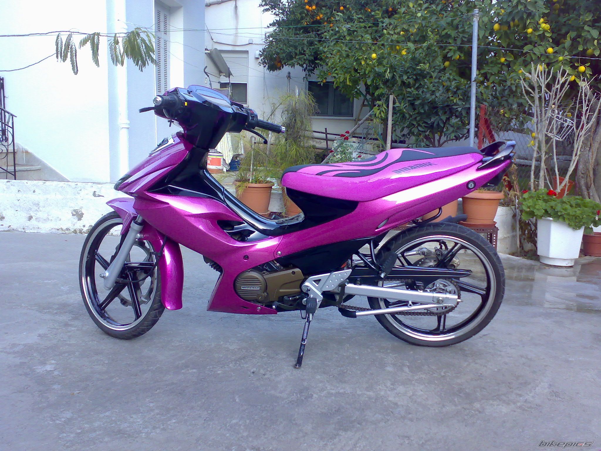 Photo 1115803
