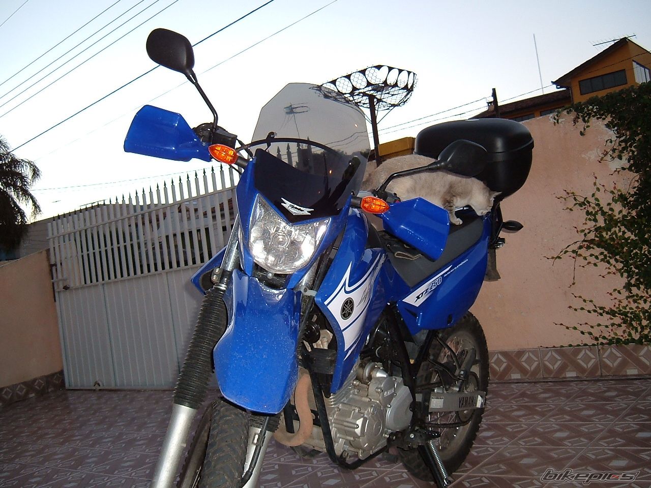 Bike Photo 1115817