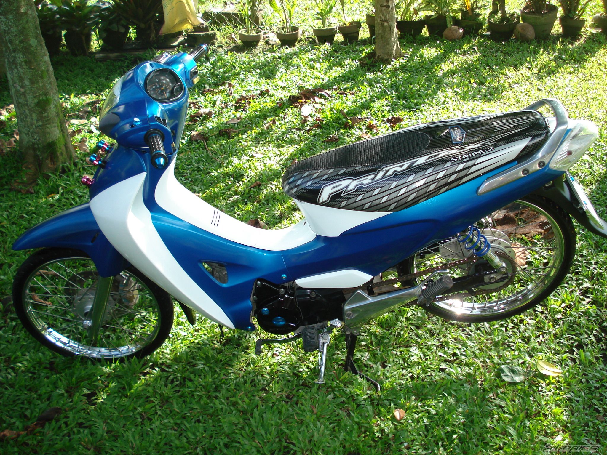 Bike Photo 1115858