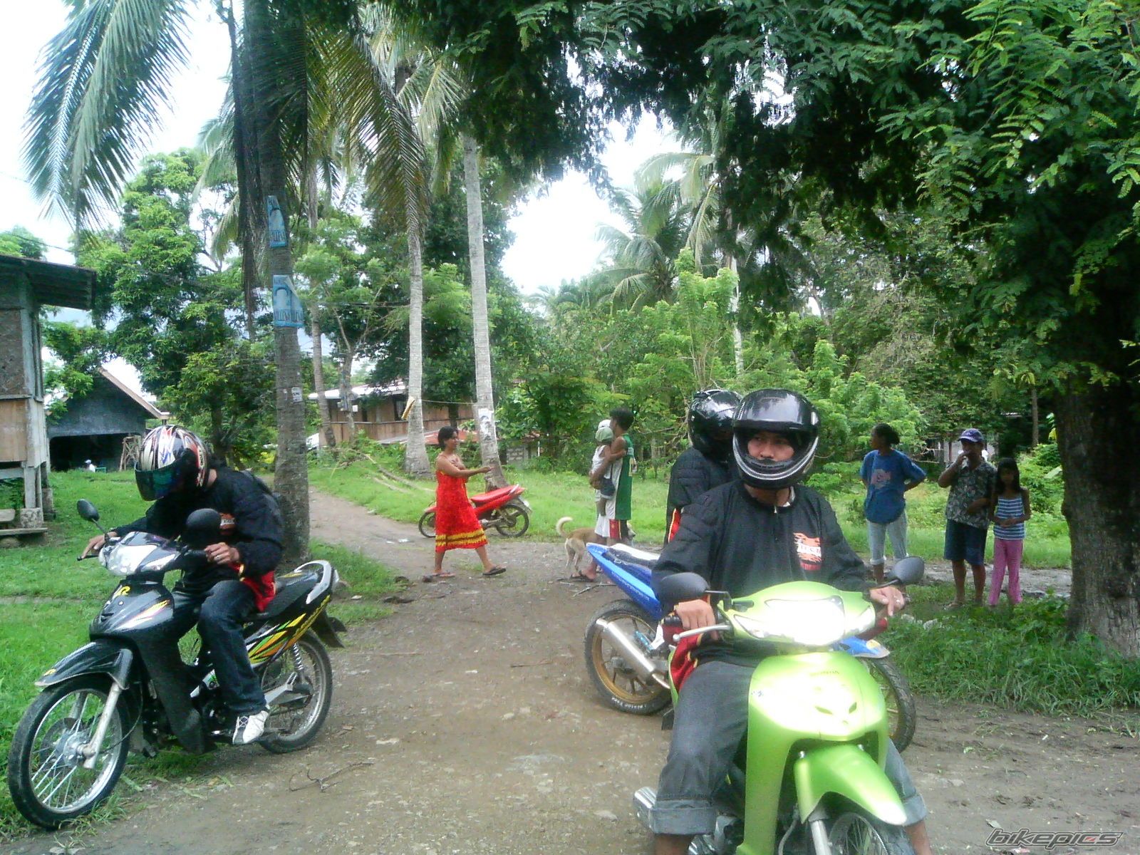 Photo 1116035
