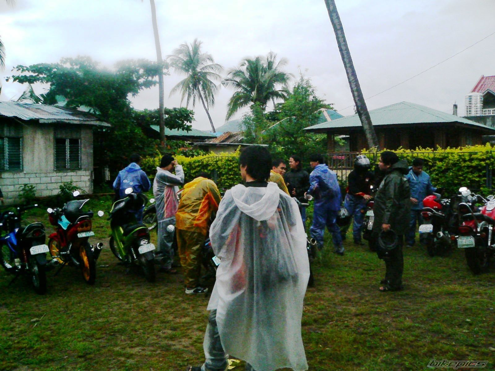 Photo 1116039