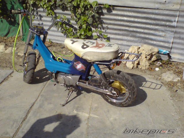 Photo 1116139