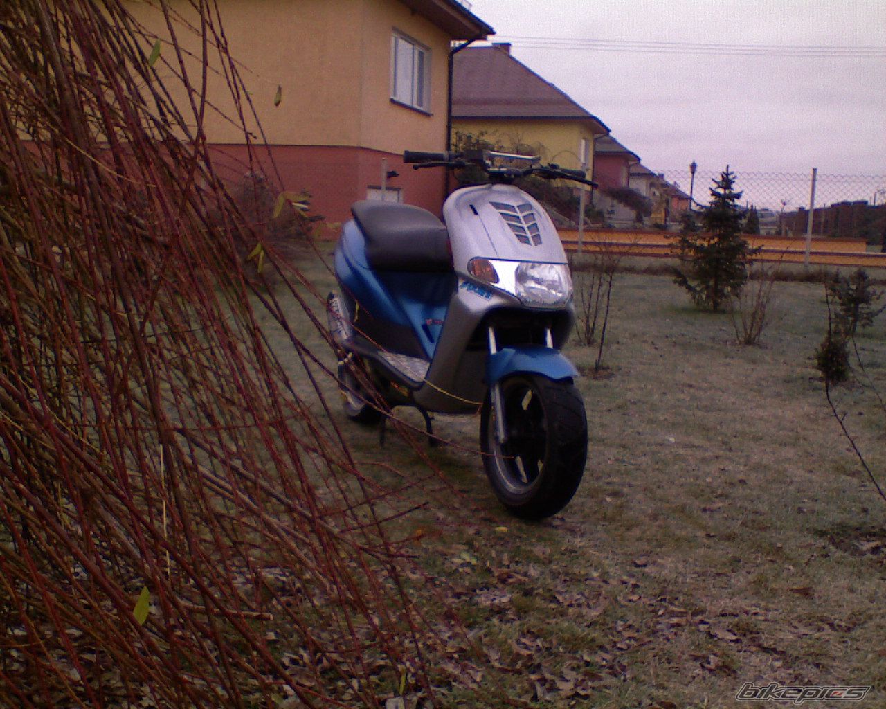 Photo 1116177
