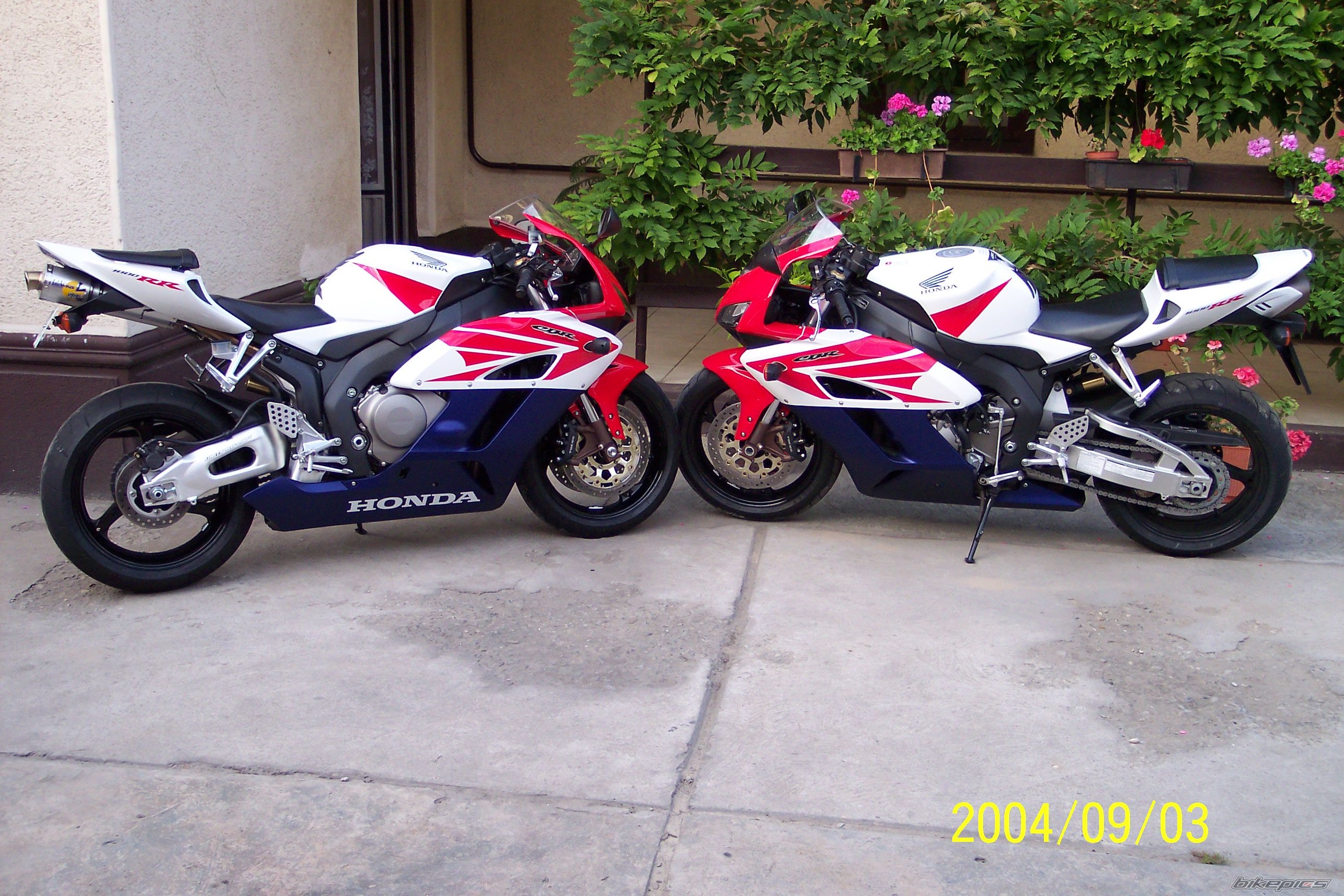 Photo 1116343