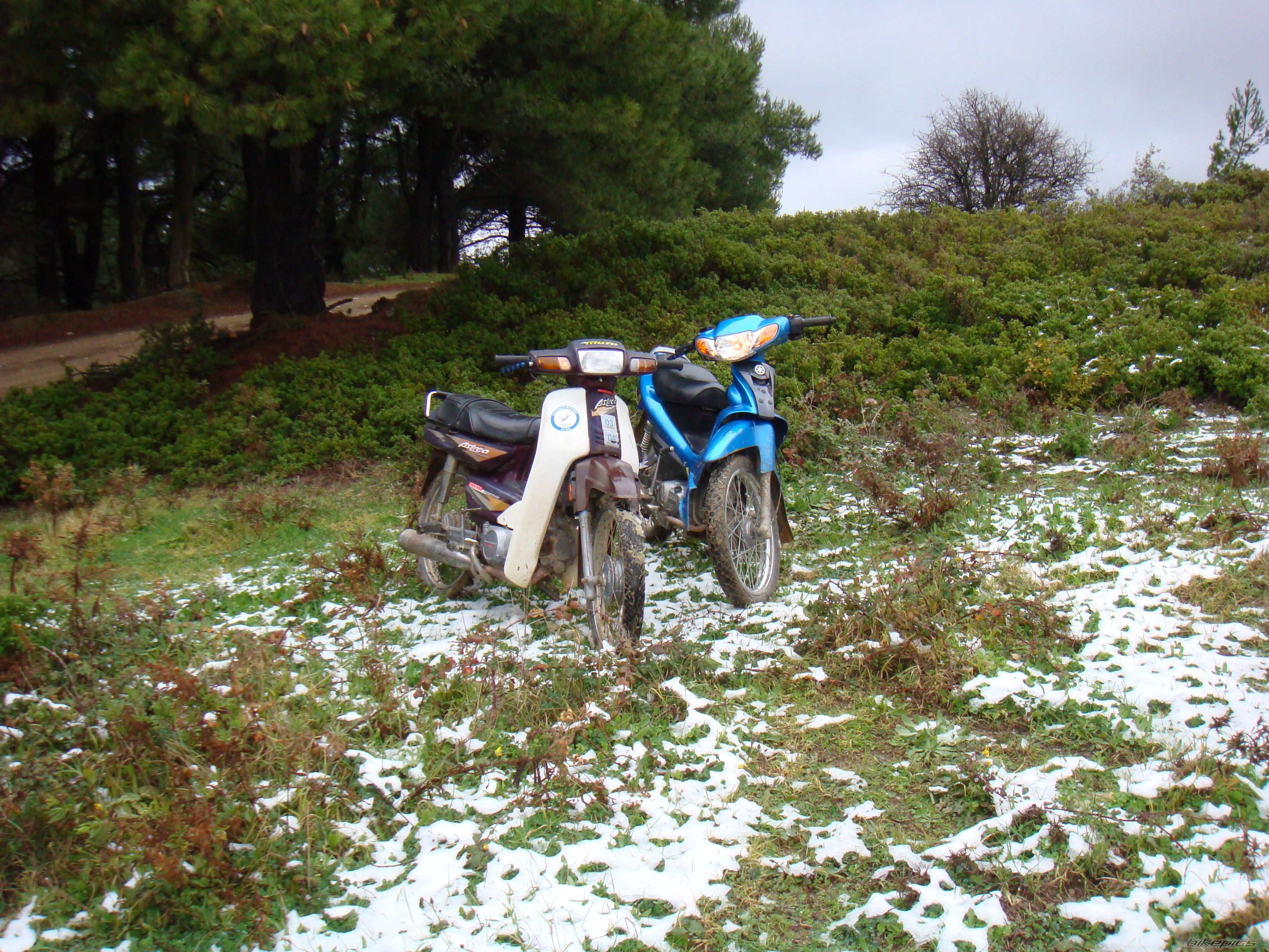 Photo 1116370