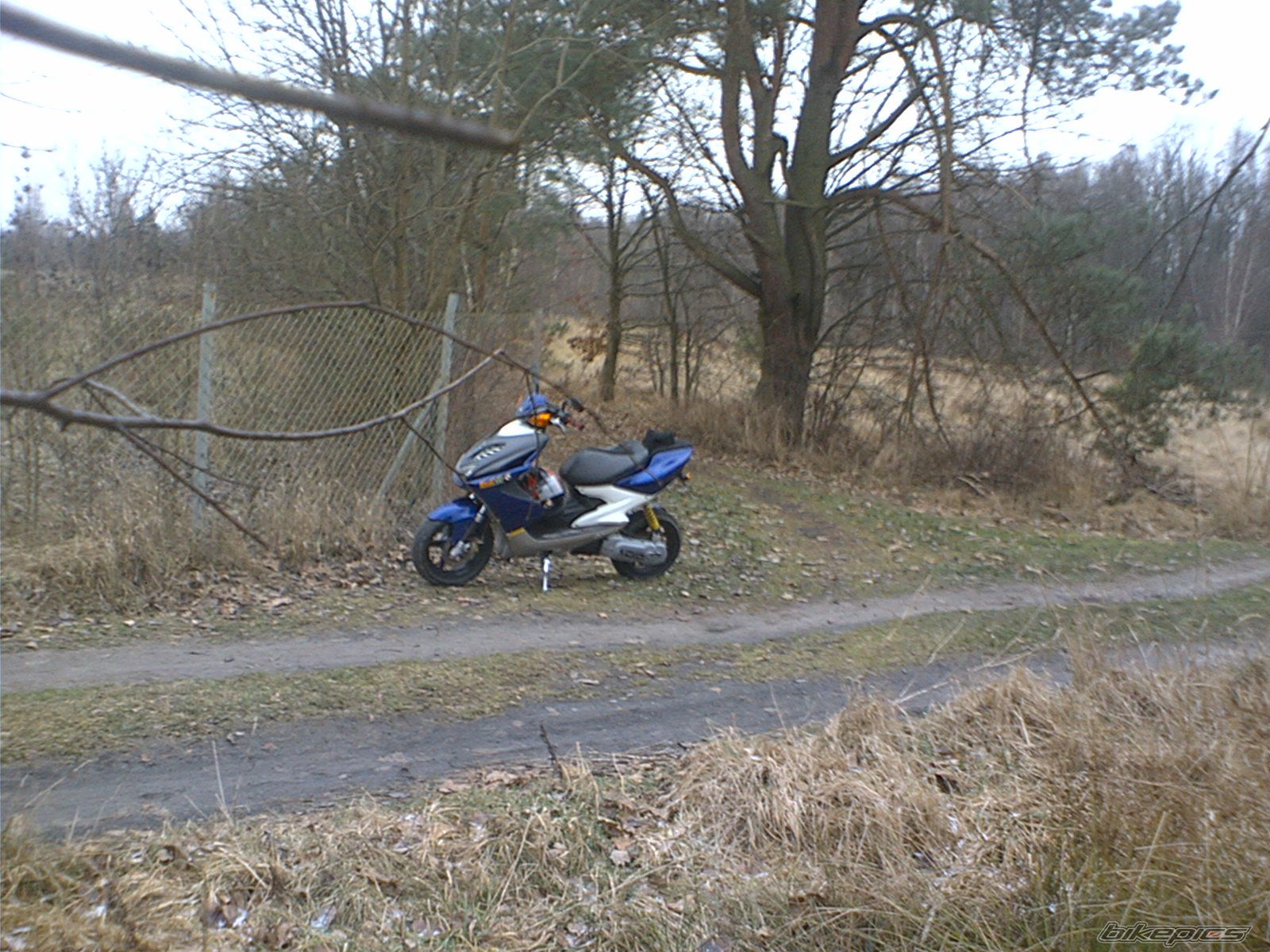 Photo 1116455