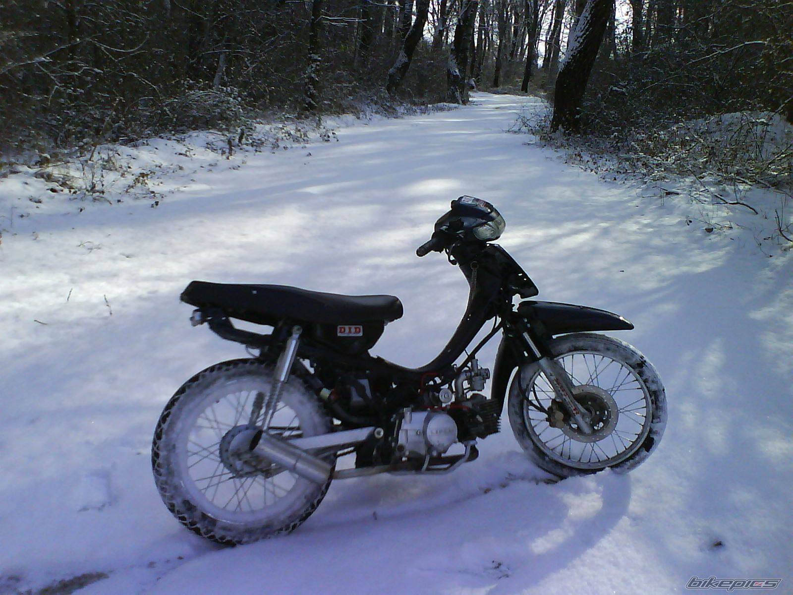 Photo 1116557