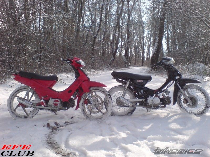 Photo 1116575