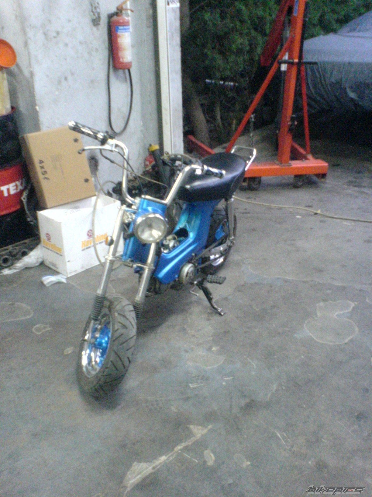 Photo 1116615